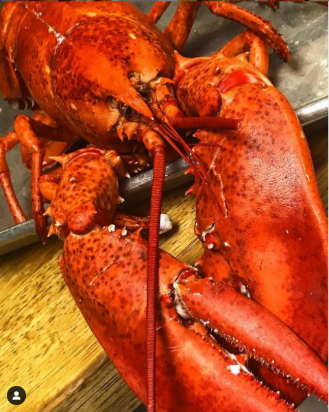 Order Fresh Maine lobster dinner! food online from Jacks Lobster Shack store, Millburn on bringmethat.com