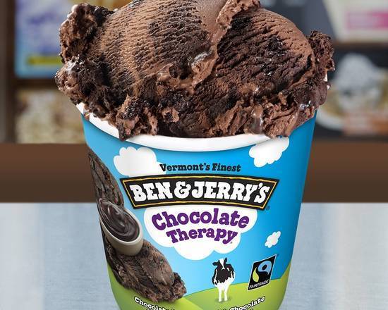 Order Chocolate Therapy food online from Ben & Jerry store, Burbank on bringmethat.com