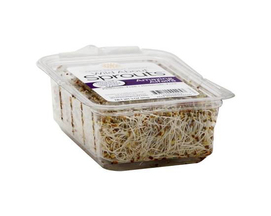 Order Wild About Sprouts · Amazing Alfalfa (3 oz) food online from Vons store, Fillmore on bringmethat.com