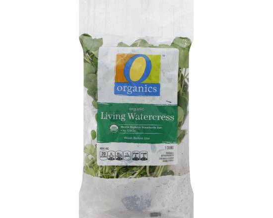 Order O Organics · Living Watercress (1 ct) food online from Safeway store, Surprise on bringmethat.com