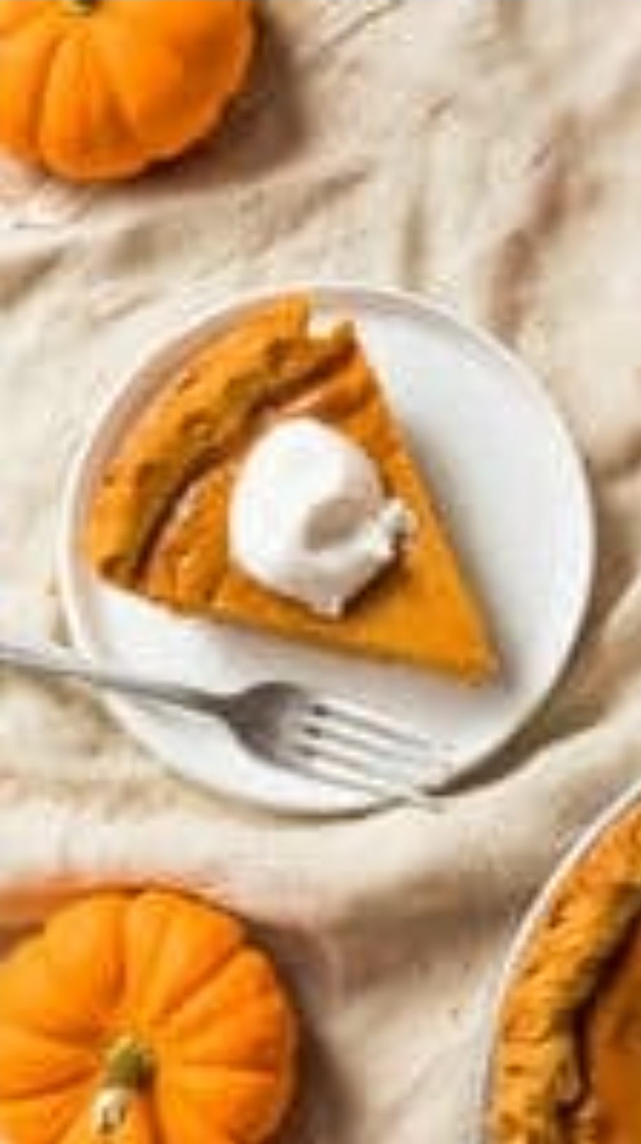 Order Pumpkin Pie  food online from Italian Affair Pizza & Pasta store, North Cape May on bringmethat.com