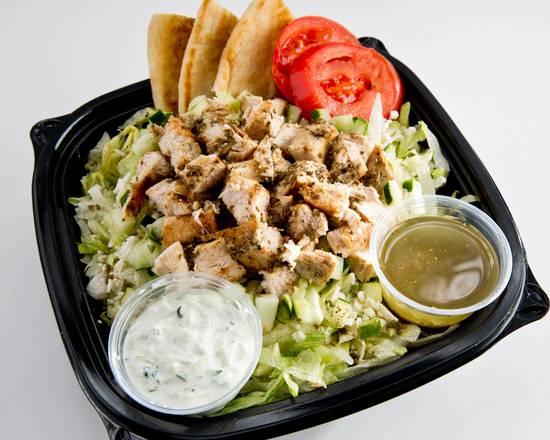 Order Camille's Salad Platter food online from Pita Plus store, Greensboro on bringmethat.com
