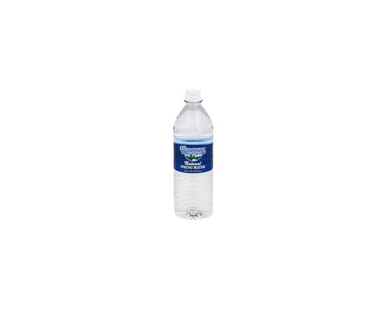 Order Absopure Bottled Water food online from Love's Ice Cream store, Grand Rapids on bringmethat.com