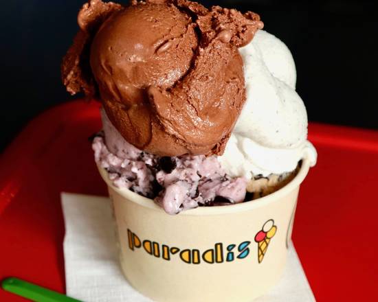 Order Large Ice Cream Cup food online from Paradis Ice Cream Pch Highway store, Dana Point on bringmethat.com