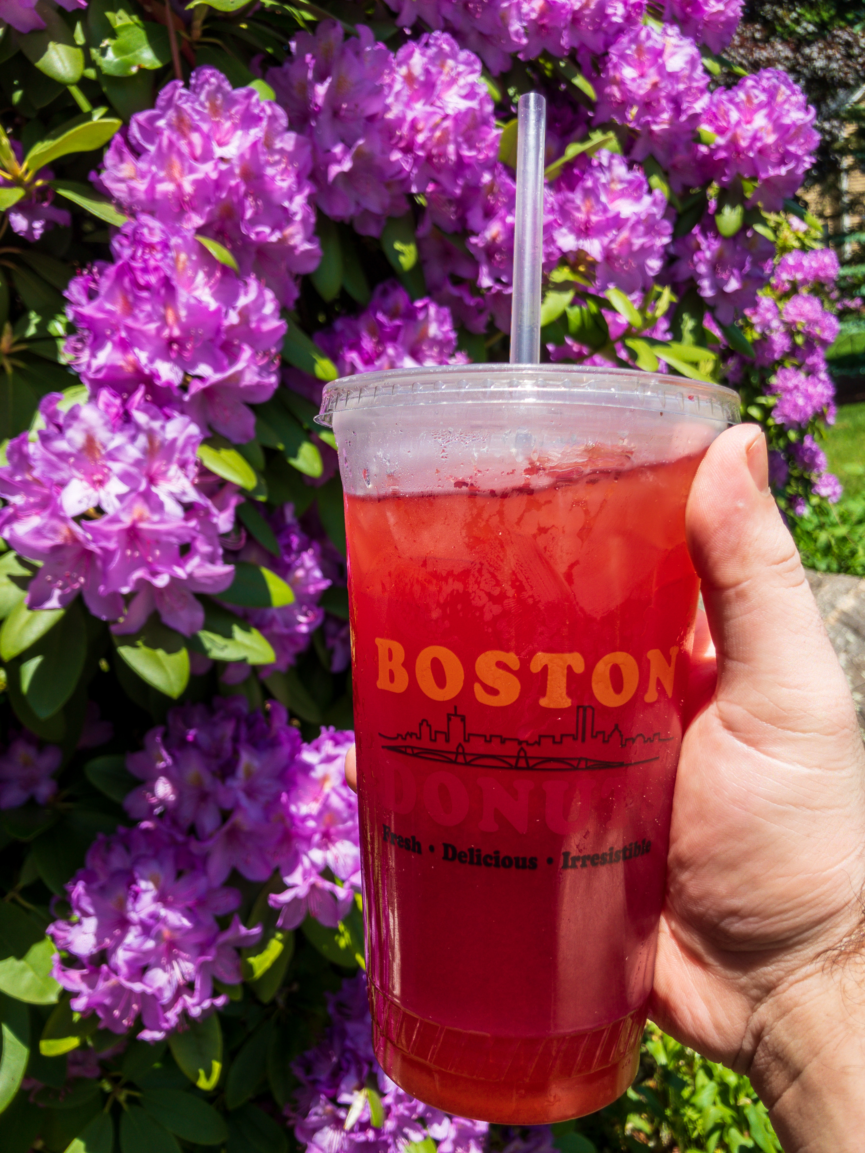 Order Iced Tea food online from Boston Donuts store, Fitchburg on bringmethat.com