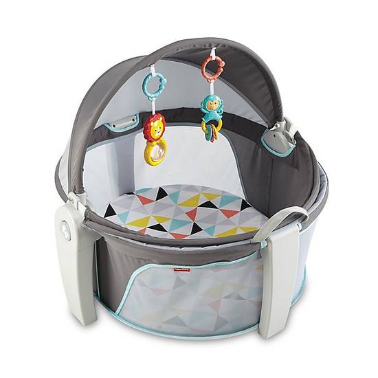 Order Fisher-Price® Windmill On-the-Go Baby Dome food online from Bed Bath & Beyond store, Poughkeepsie on bringmethat.com