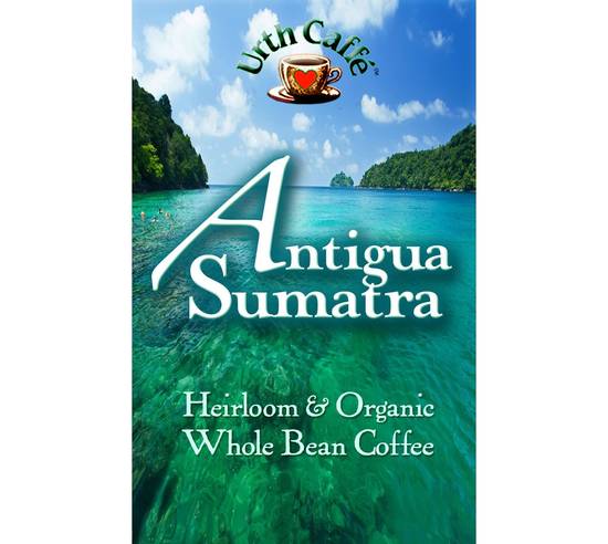 Order ANTIGUA SUMATRA JAVA™ - 1 lb food online from Urth Caffe store, Laguna Beach on bringmethat.com