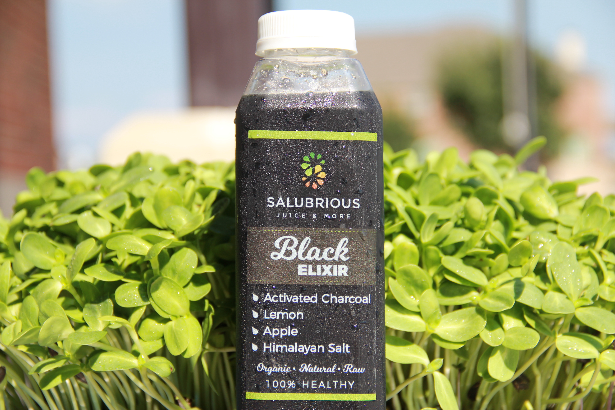 Order 16 oz. Black Elixir Juice food online from Salubrious Juice And More store, Dallas on bringmethat.com