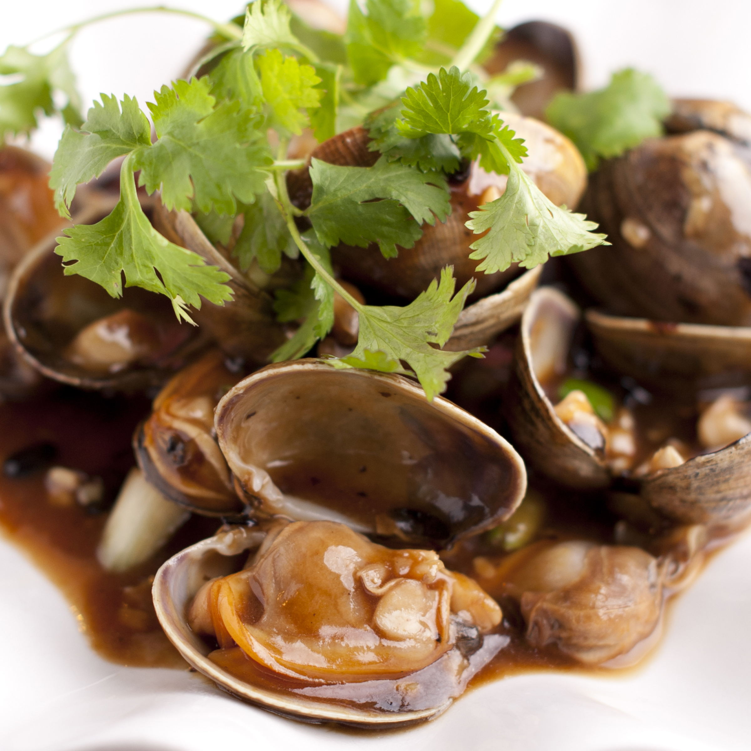 Order Baked Clams in Black Bean Sauce food online from New Sun Hong Kong Restaurant store, San Francisco on bringmethat.com