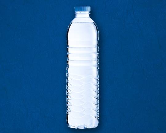 Order Water Bottle food online from Indian Vegan Experiment store, Schaumburg on bringmethat.com
