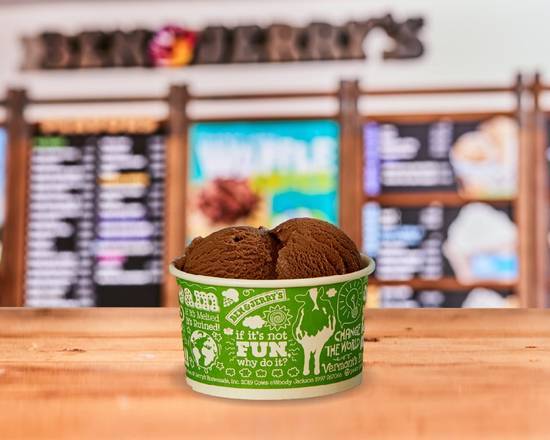 Order Small (2 scoops) food online from Ben & Jerry's store, Ann Arbor on bringmethat.com