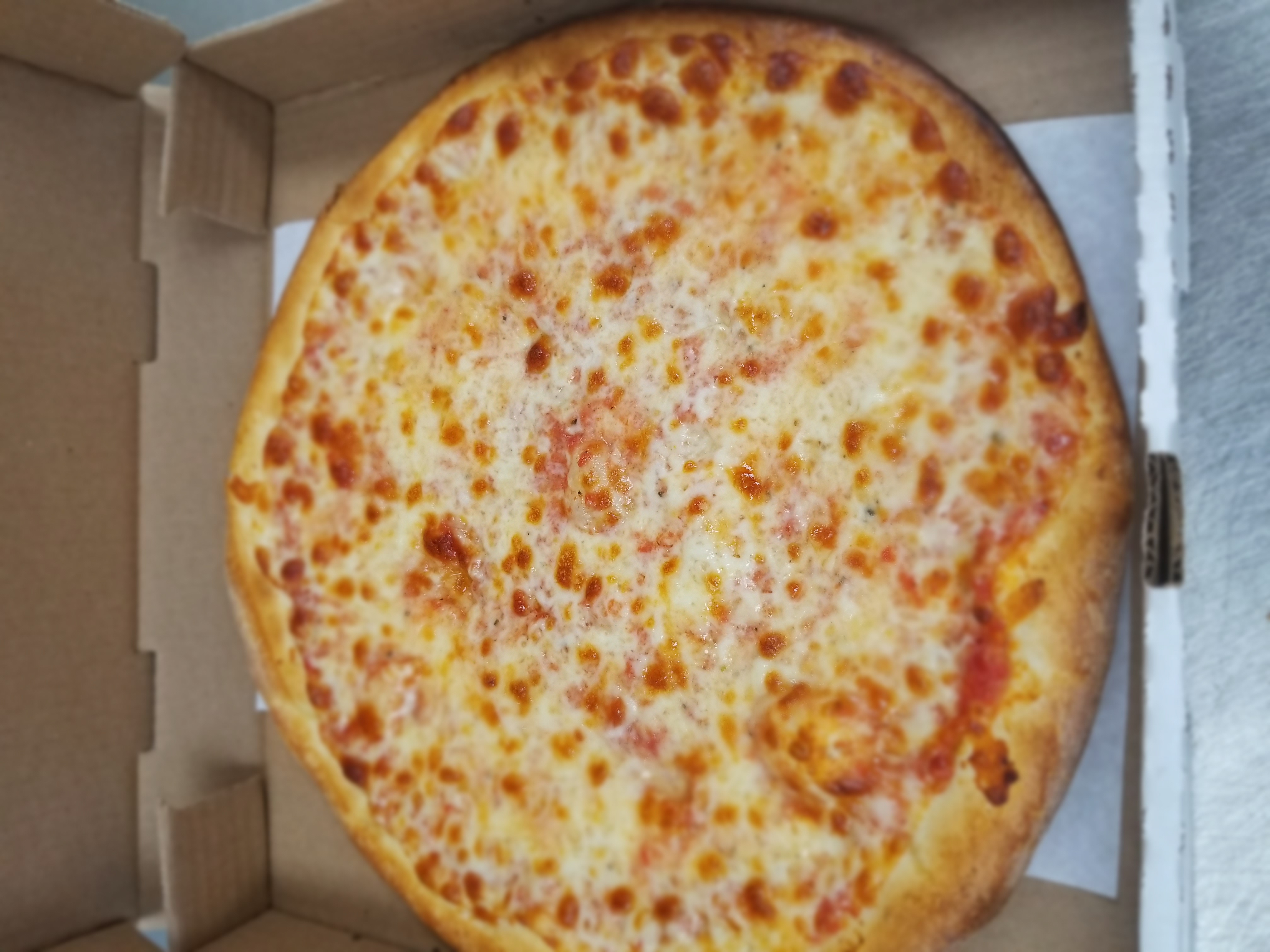 Order Cheese Pizza food online from Panaro's Pizzeria store, Bridgeport on bringmethat.com