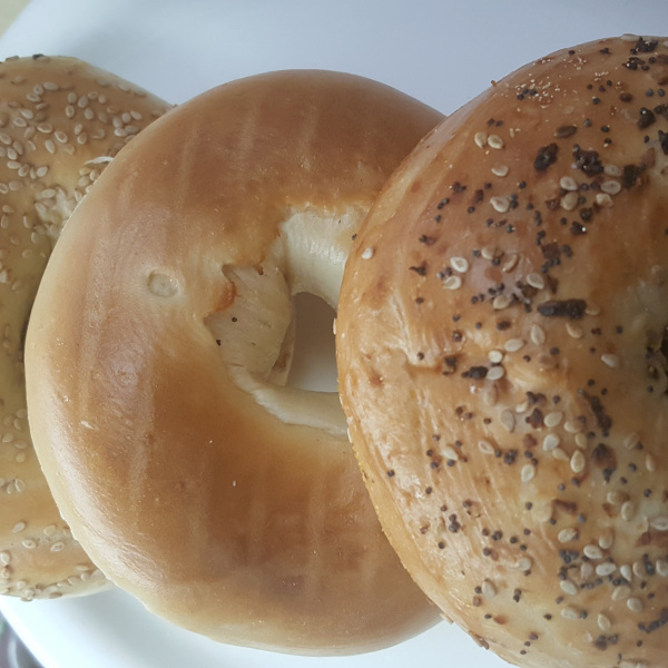 Order 2. Hand Rolled Bagel with Cream Cheese food online from Metro Star Coffee Shop store, East Elmhurst on bringmethat.com
