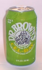 Order Dr. Browns Cel-Ray food online from A Taste Of Shabbos store, Des Moines on bringmethat.com