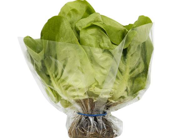Order Pete's Living Greens · Butter Lettuce (1 ct) food online from Safeway store, Alamo on bringmethat.com