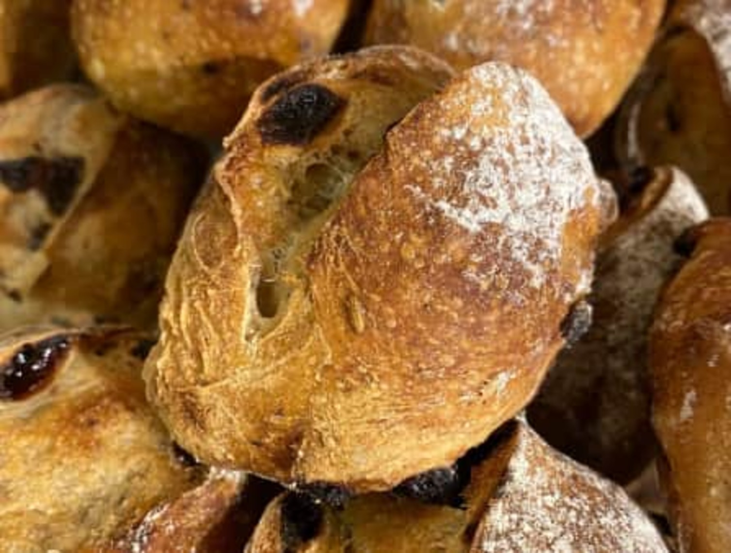 Order Raisin Fennel Roll food online from St. Honore Boulangerie store, Portland on bringmethat.com